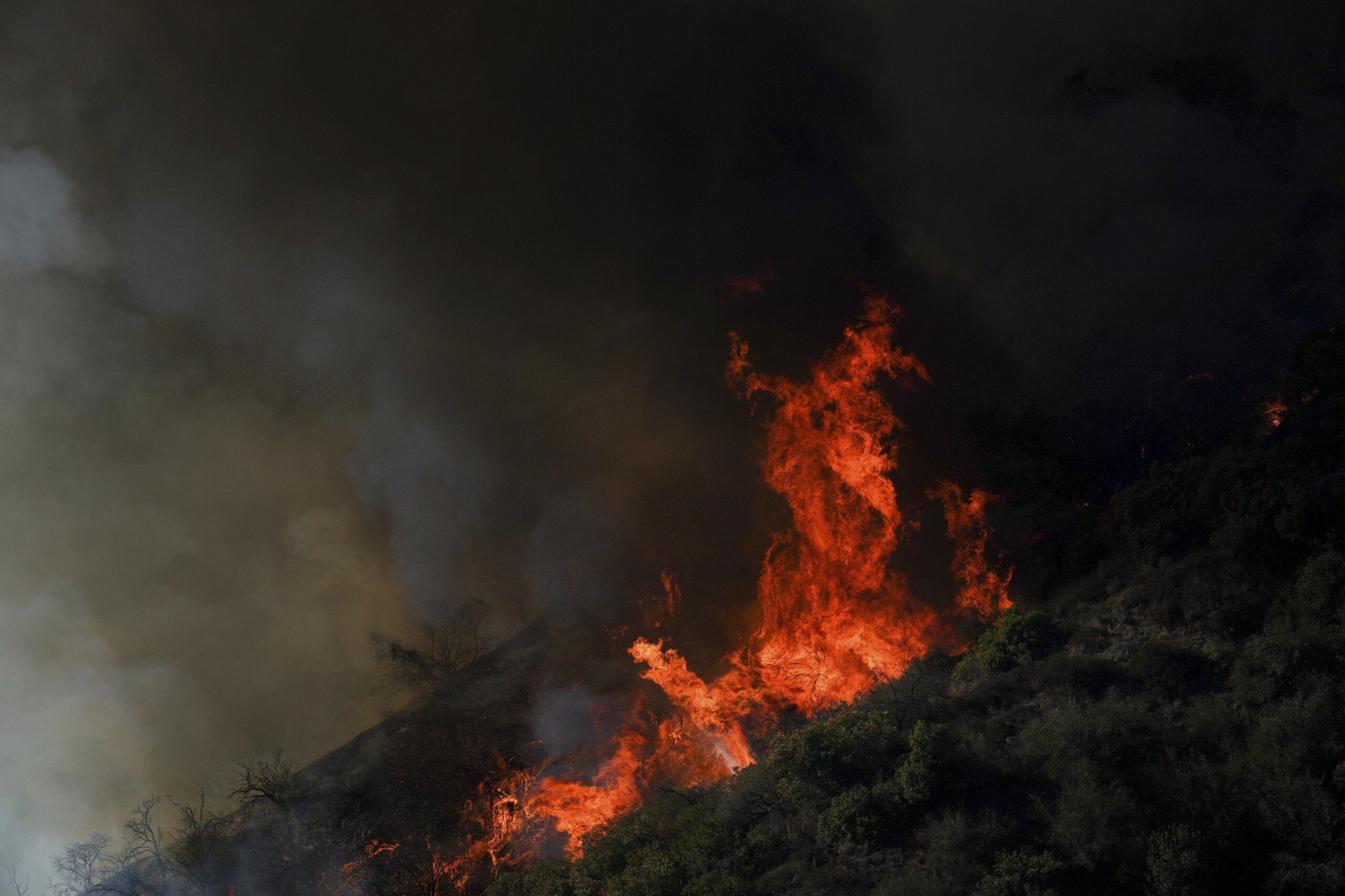 incendies a los angeles la maison de james woods est sauvee cest un miracle scaled