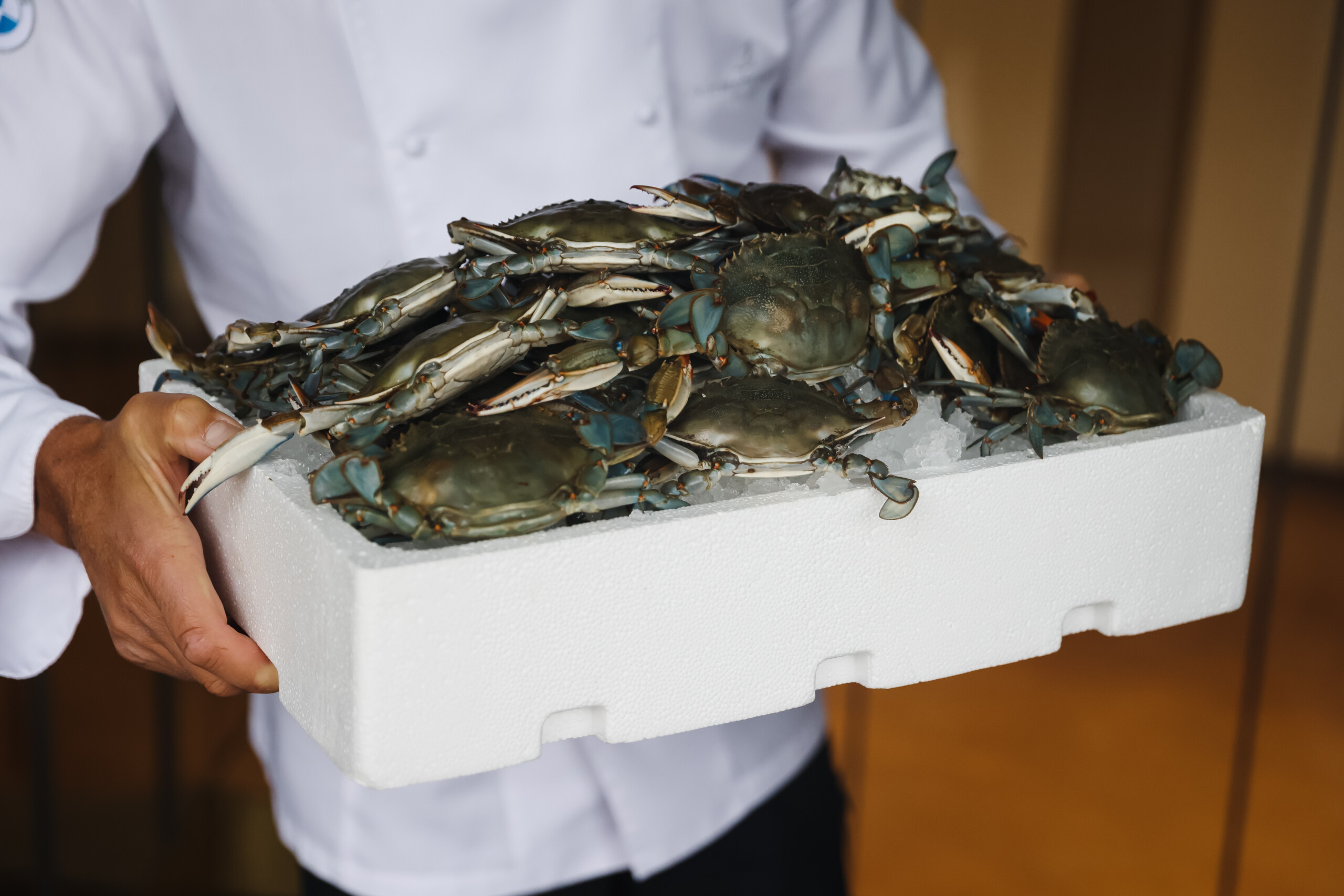 crabe bleu lollobrigida 45 millions deuros alloues pour lurgence scaled