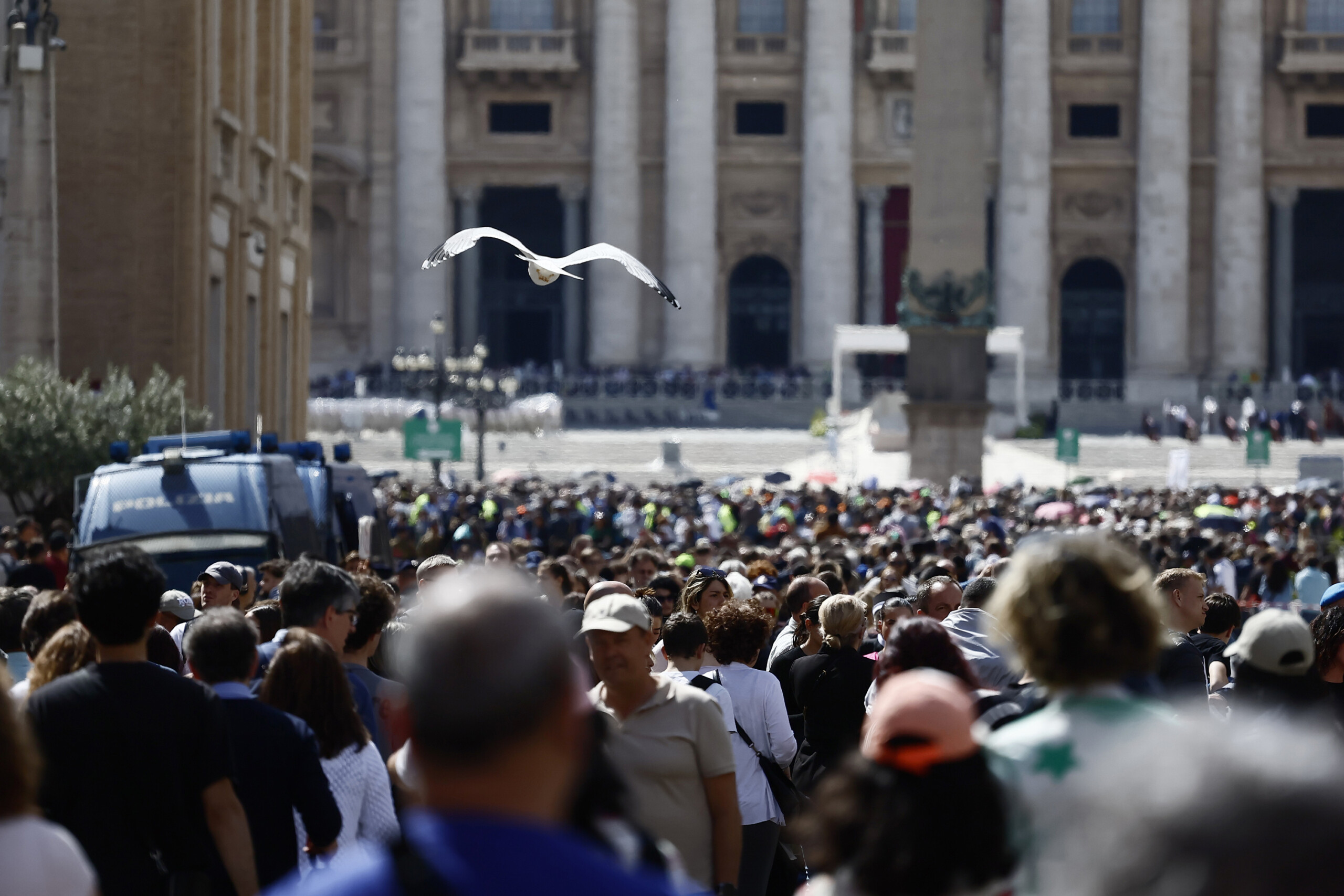 pape francois gualtieri avec plus de 170 000 presences aujourdhui dans la basilique scaled