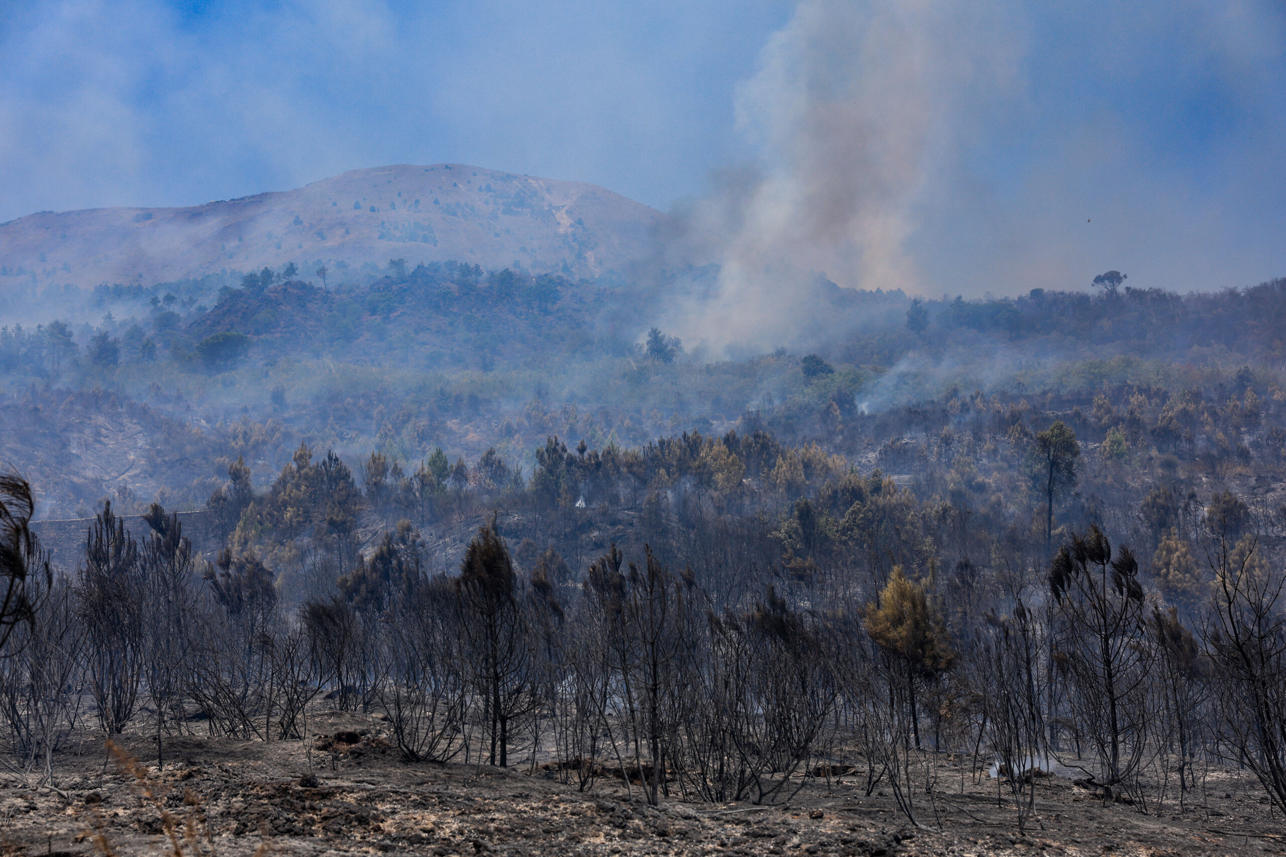 incendies flammes maitrisees sur le vesuve debut des operations de nettoyage scaled