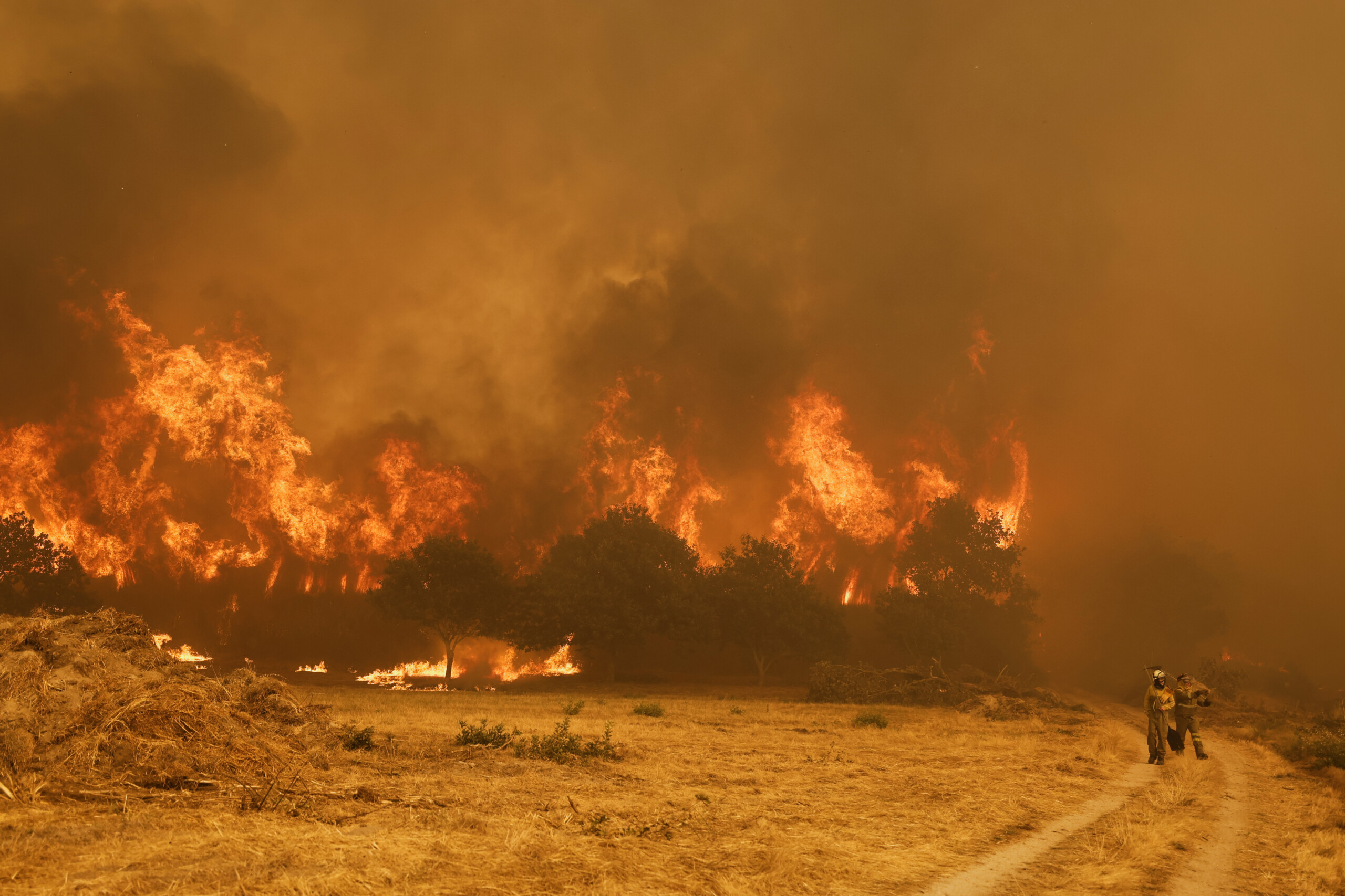 incendies le portugal demande laide du mecanisme de protection civile de lue scaled