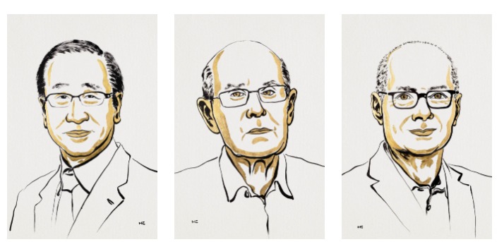 nobel prix de chimie decerne a kitagawa robson et yaghi