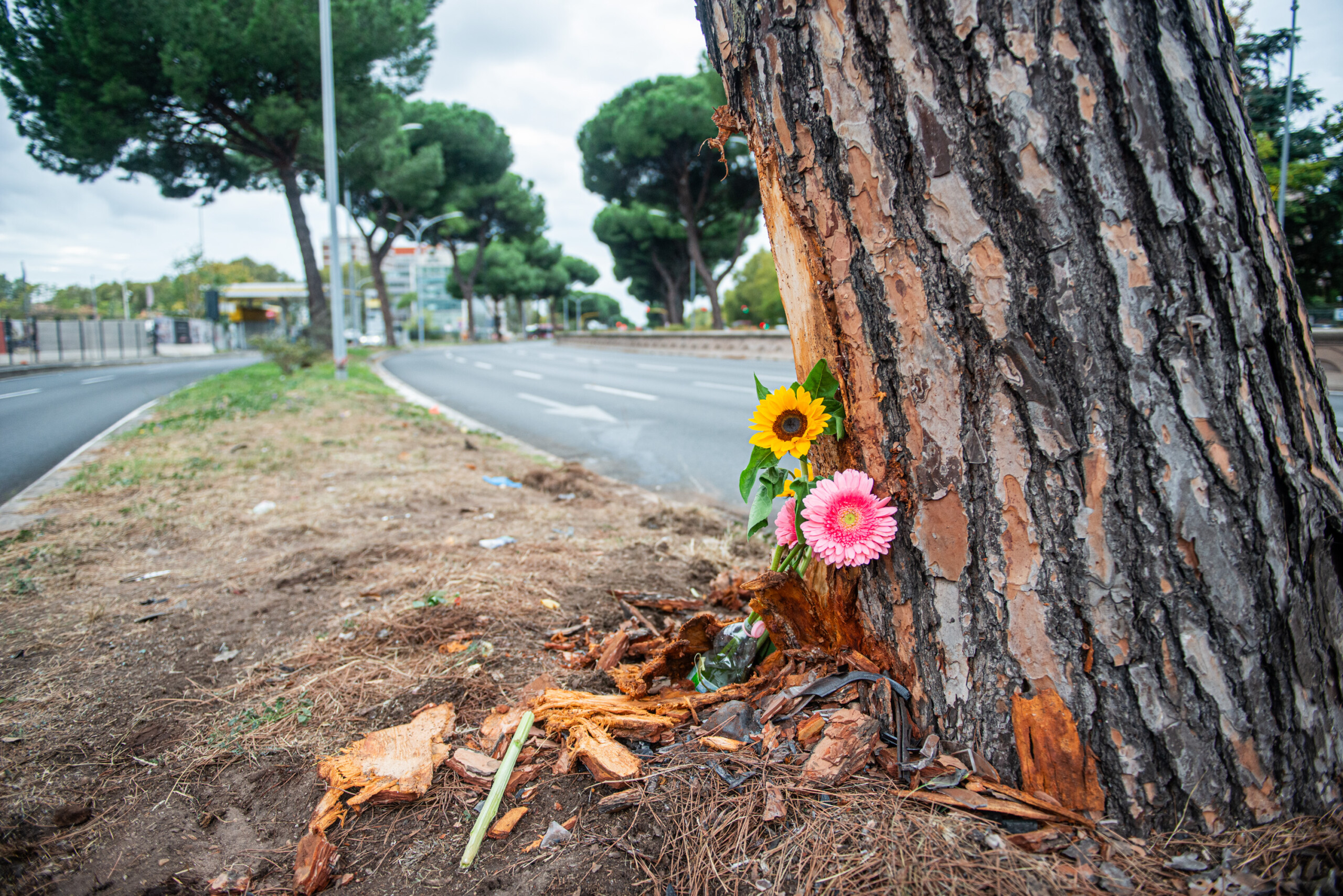 Accident à Rome : autopsie pratiquée sur une jeune femme de 20 ans décédée des suites d'un traumatisme thoracique 1 accident a rome autopsie pratiquee sur une jeune femme de 20 ans decedee des suites dun traumatisme thoracique scaled