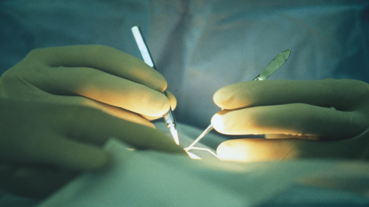 Santé, cœur d’Athènes à Turin pour une transplantation sans jamais cesser de battre 1 sante coeur dathenes a turin pour une transplantation sans jamais cesser de battre