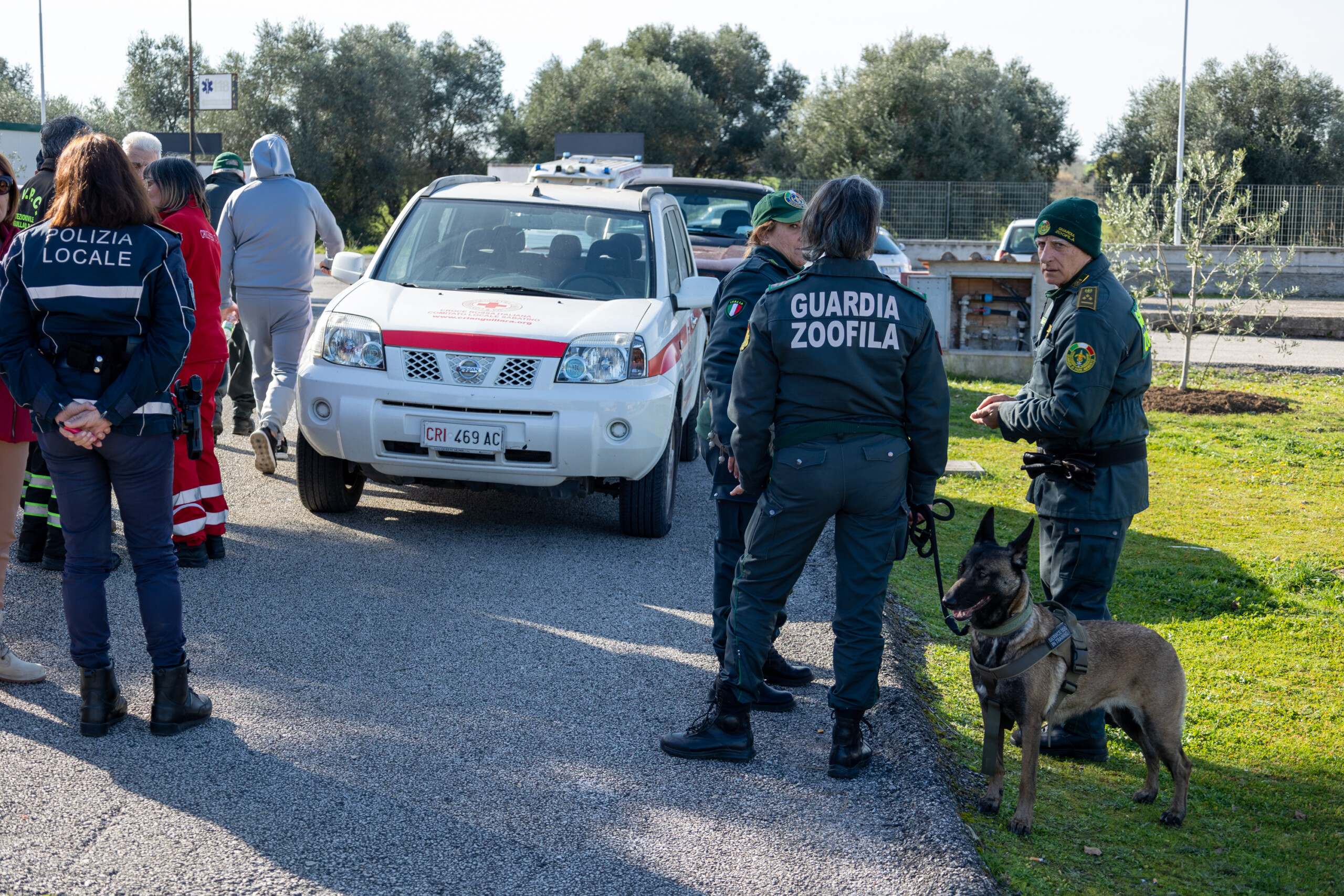 anguillara parquet de civitavecchia des traces de sang partout version contradictoire du mari scaled