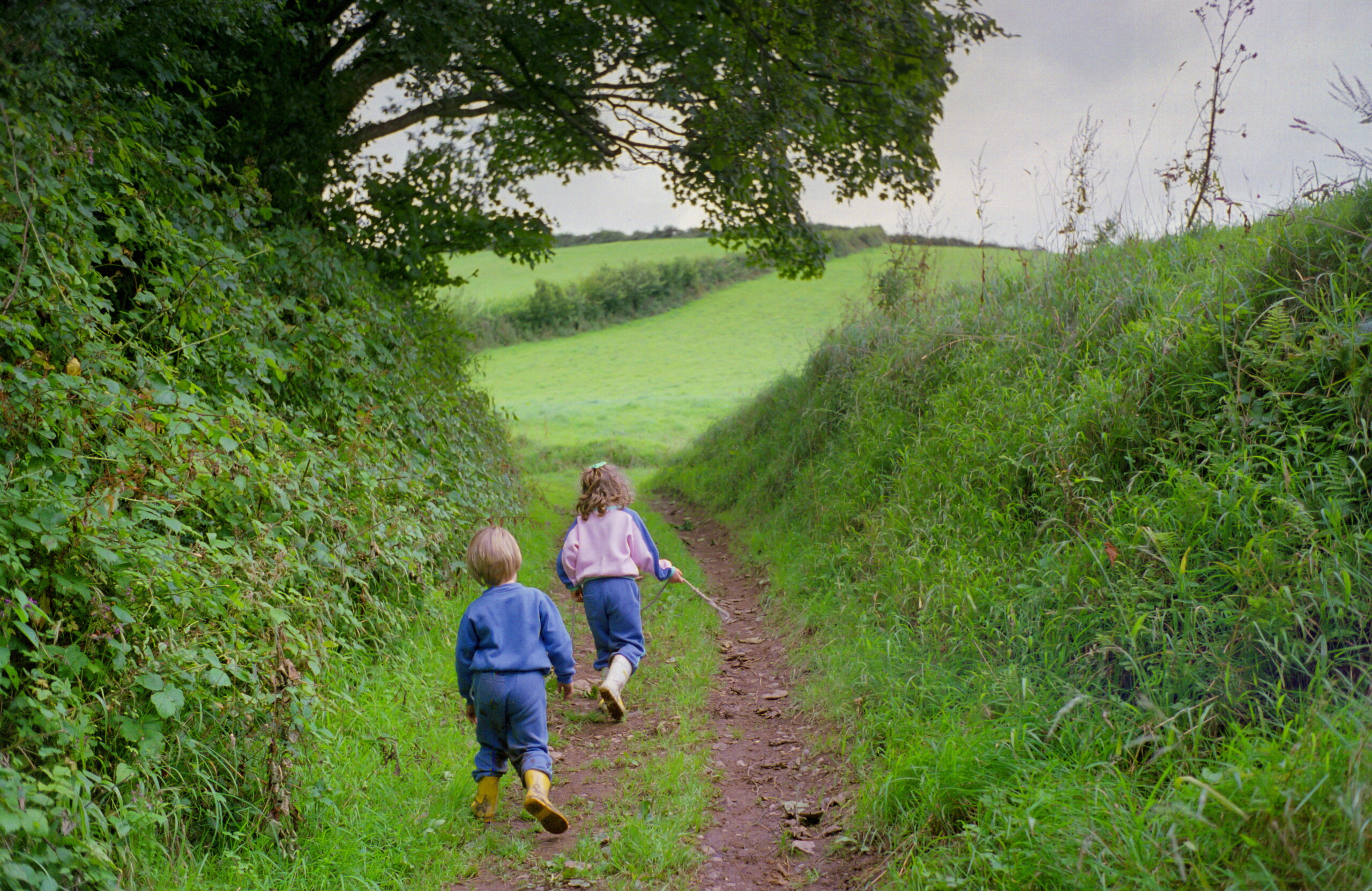 royaume uni les enfants pourront choisir leur genre des lecole primaire scaled