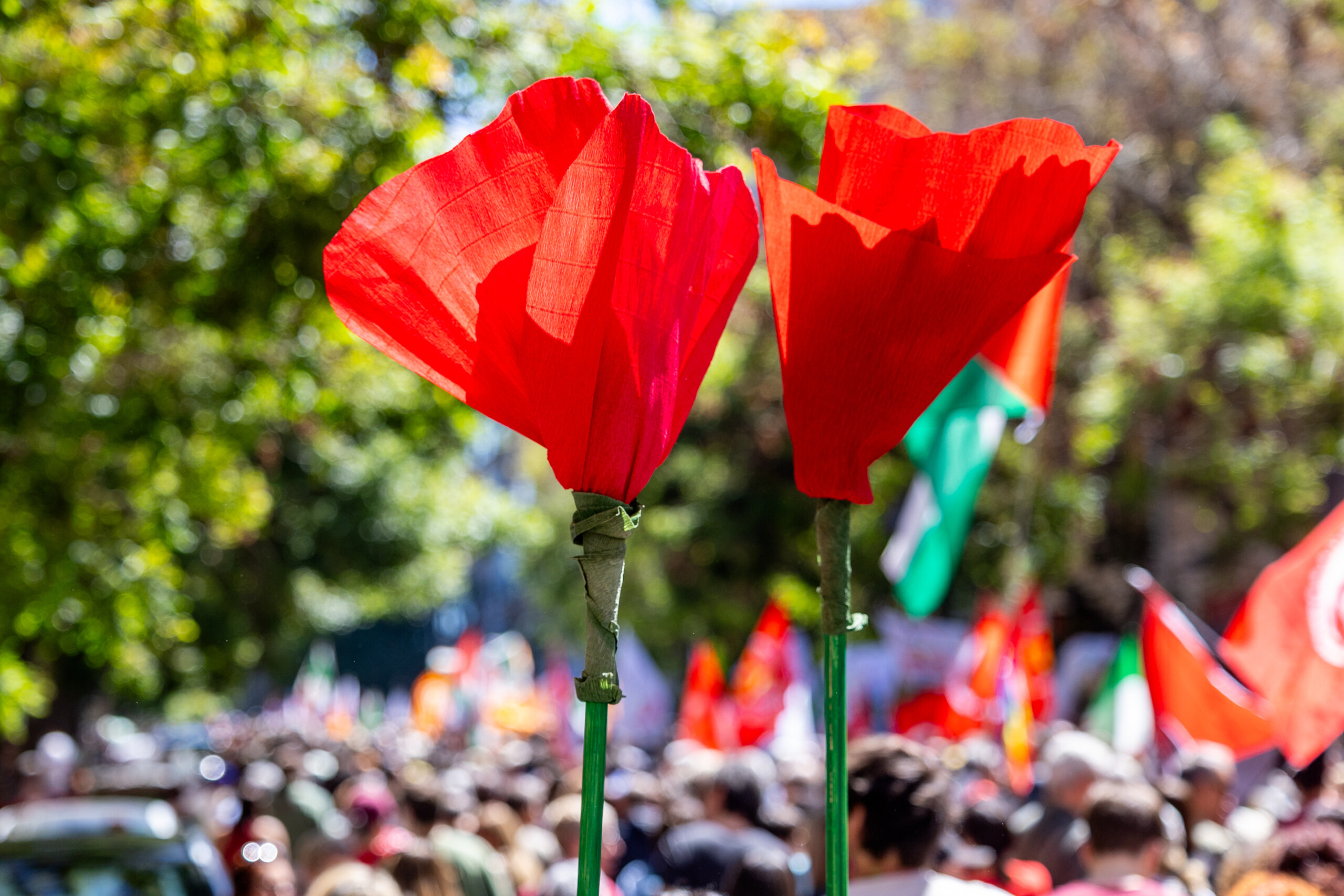 25 avril coups de pistolet a air comprime au parc schuster un couple blesse scaled