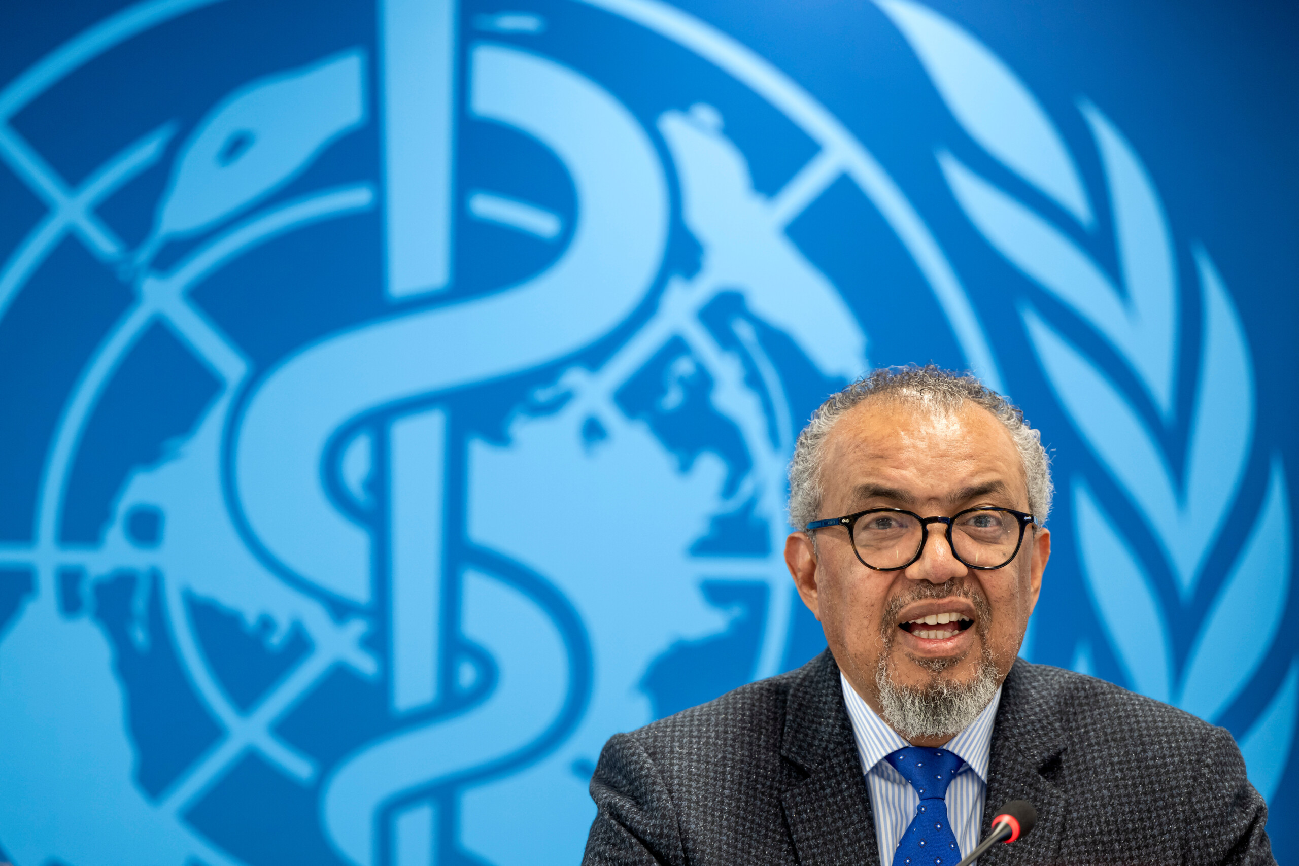 hantavirus le directeur de loms a tenerife pour larrivee dun navire de croisiere scaled