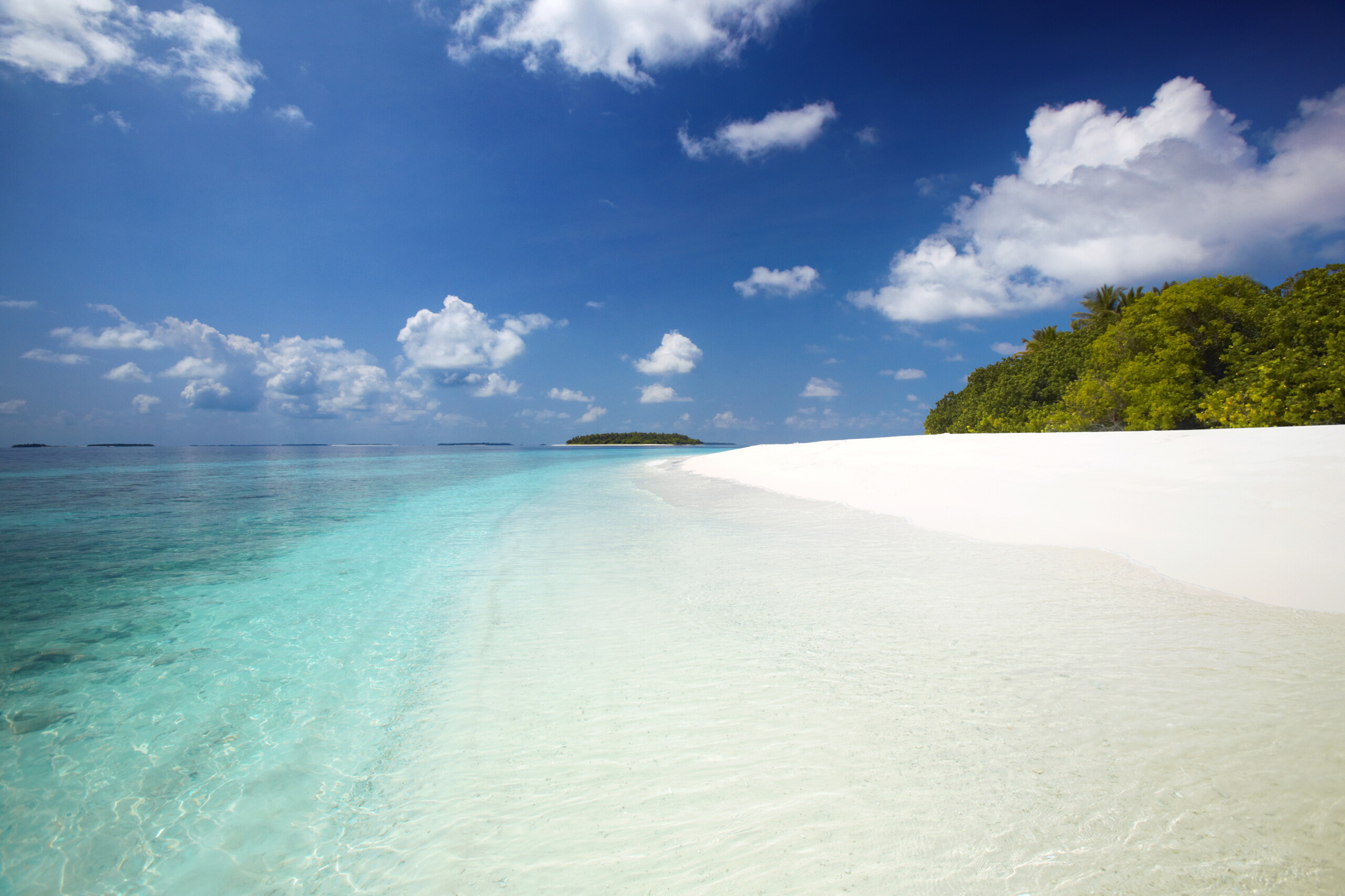 maldives cinq italiens decedent lors dune plongee sous marine scaled